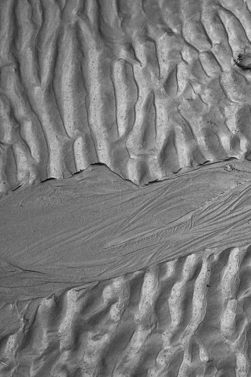 schlammablagerungen in einem bergbach