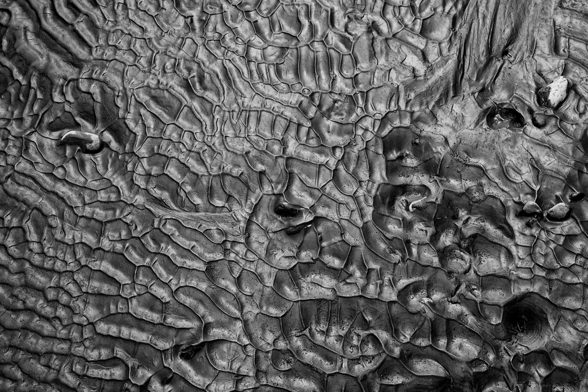 schlammablagerungen in einem bergbach