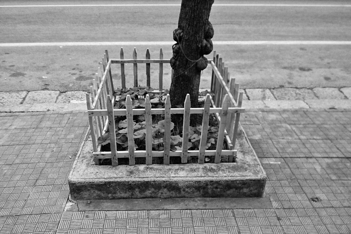 der rechtspopulismus im kleinen